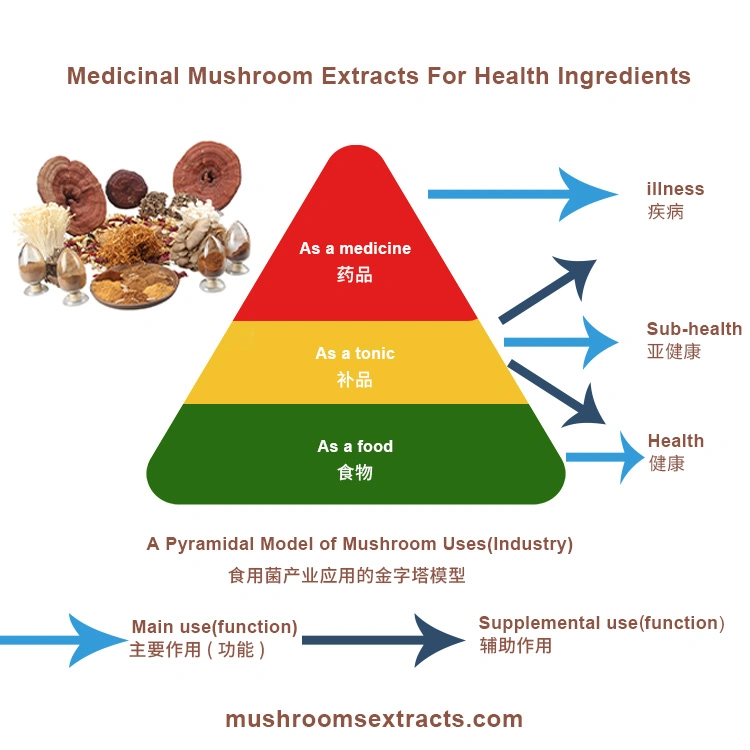 Organic Grifola Frondosa Mushroom Plant Extract Maitake Mushroom Herbla Extract Powder Maitake Extract