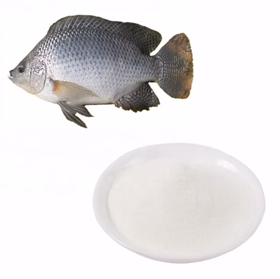 Wholesale Anti-Aging Pure Fish Hydrolyzed Collagen Peptide Collagen Protein Powder