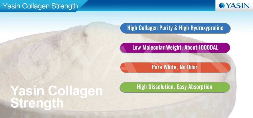 Fish Collagen Peptides Protein