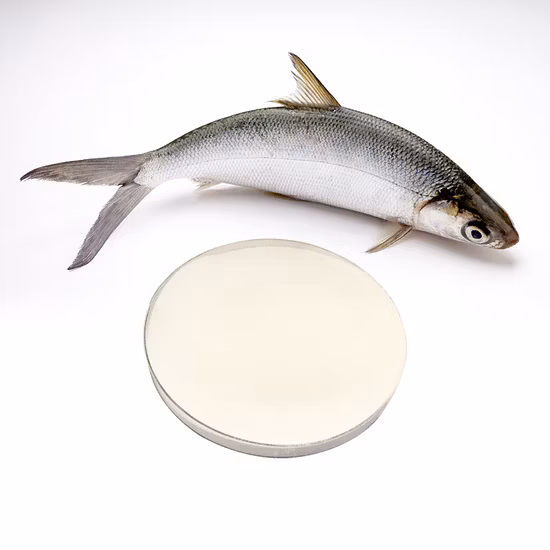 Wholesale Anti-Aging Pure Fish Hydrolyzed Collagen Peptide Collagen Protein Powder