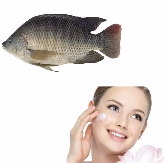 Wholesale Anti-Aging Pure Fish Hydrolyzed Collagen Peptide Collagen Protein Powder
