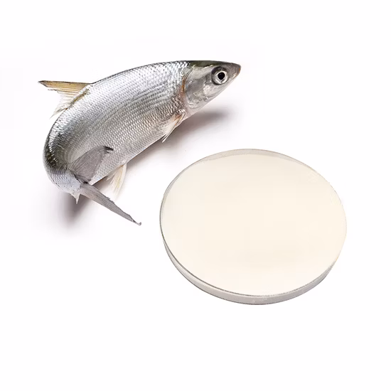 Wholesale Anti-Aging Pure Fish Hydrolyzed Collagen Peptide Collagen Protein Powder
