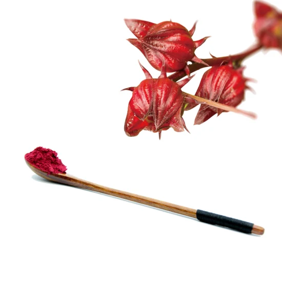Polvo orgánico natural seco del extracto de la planta de la flor de Roselle del hibisco